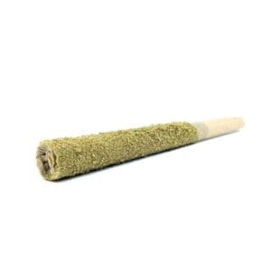 king louis strain