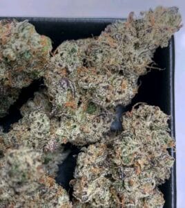 Blue Cookies