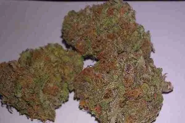 3 Kings Cannabis