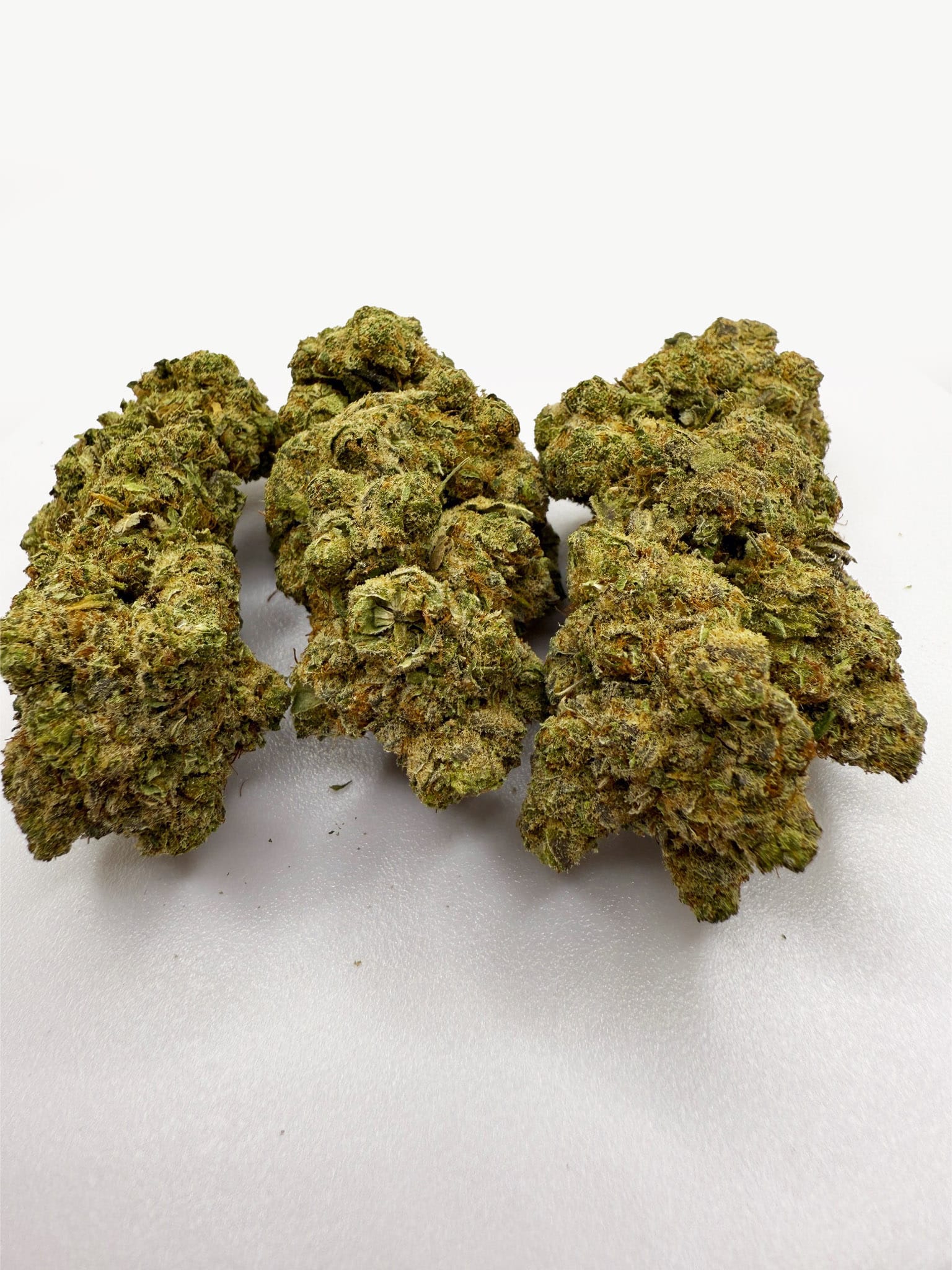 Oreo strain oreo-strain