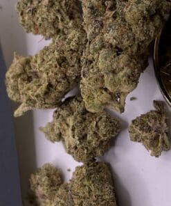 super lemon haze seeds