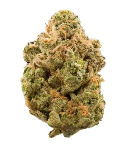 stardawg-strain